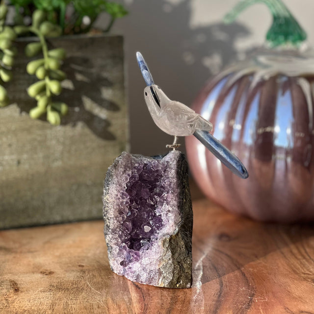 6" Blue Aventurine & Clear Quartz Carved Bird on Amethyst Geode from Brazil - Magick Magick.com