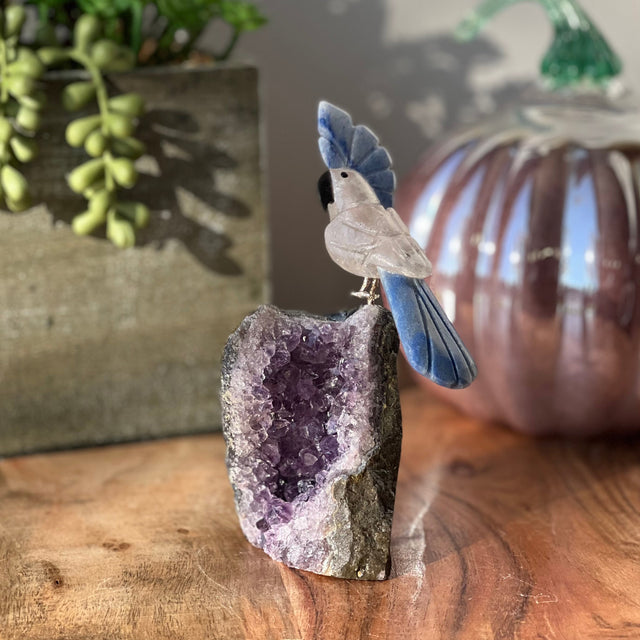 6" Blue Aventurine & Clear Quartz Carved Bird on Amethyst Geode from Brazil - Magick Magick.com