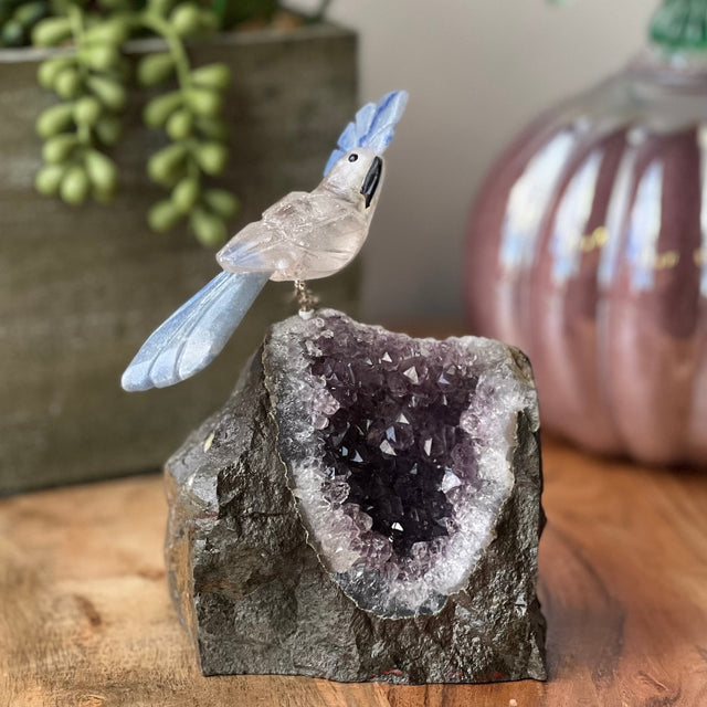 6" Clear Quartz & Blue Aventurine Carved Bird on Amethyst Geode from Brazil - Magick Magick.com