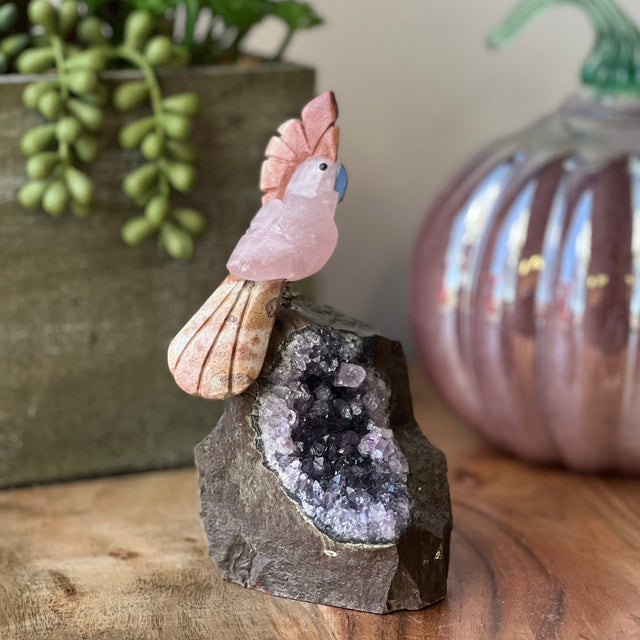 6" Rose Quartz & Sunstone Carved Bird on Amethyst Geode from Brazil - Magick Magick.com