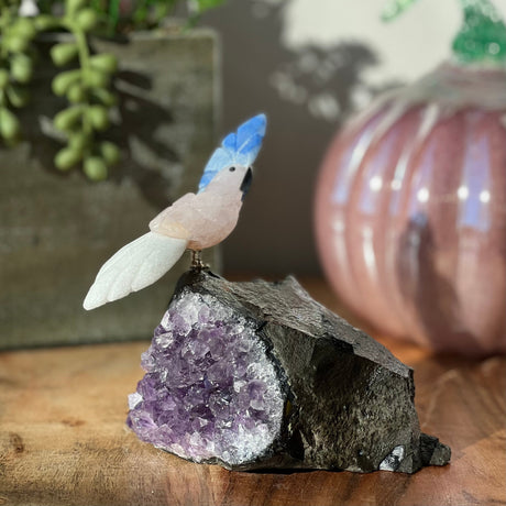 6" Rose Quartz, White Aventurine & Blue Aventurine Carved Bird on Amethyst Geode from Brazil - Magick Magick.com