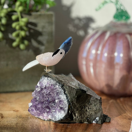 6" Rose Quartz, White Aventurine & Blue Aventurine Carved Bird on Amethyst Geode from Brazil - Magick Magick.com
