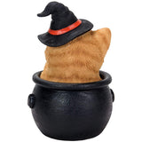 6" Witches's Orange Tabby in Cauldron Figurine - Magick Magick.com