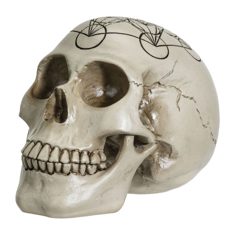 6.25" Sacred Geometry Skull - Metatrons - Magick Magick.com