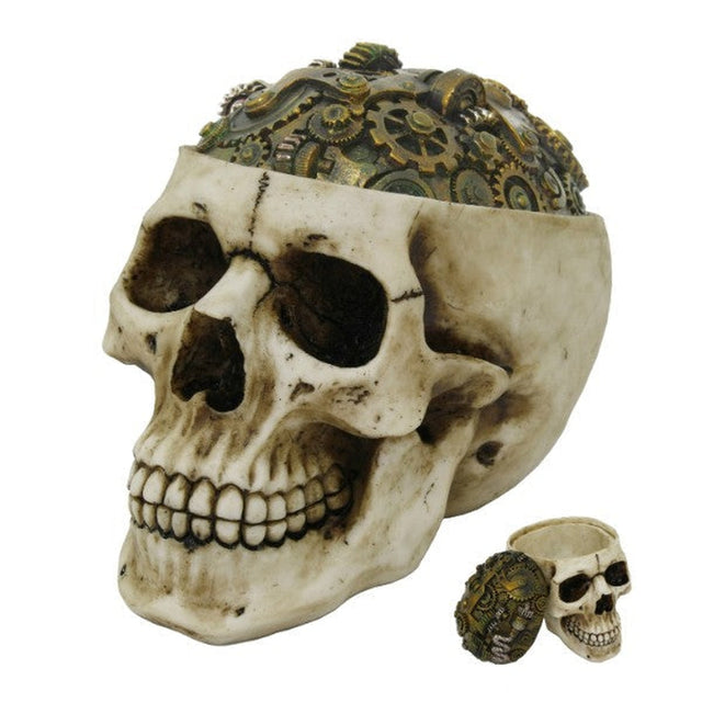 6.9" Steampunk Skull Display Box - Magick Magick.com