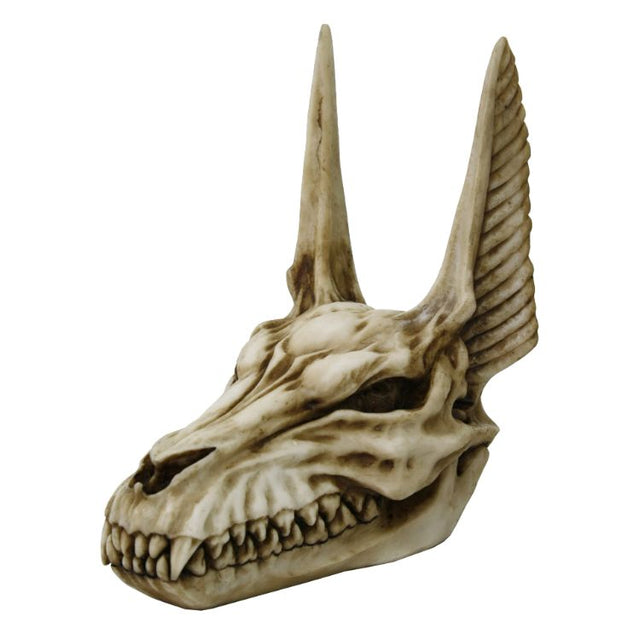 7" Anubis Skull Statue - Magick Magick.com