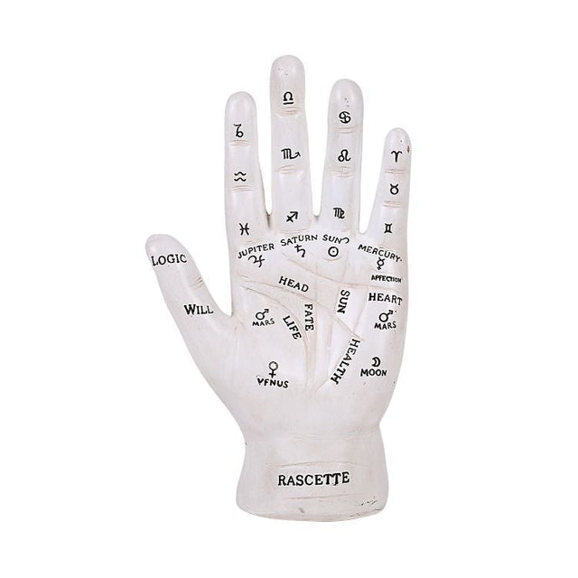 7.25" Fortune Teller Palmistry Figurine - White - Magick Magick.com