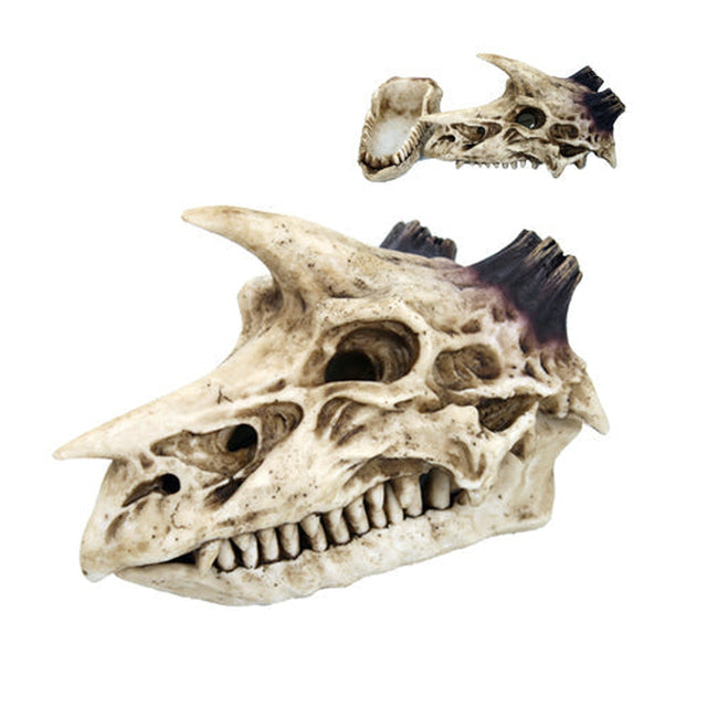 7.5" Dragon Skull Stick Incense Holder Box - Magick Magick.com