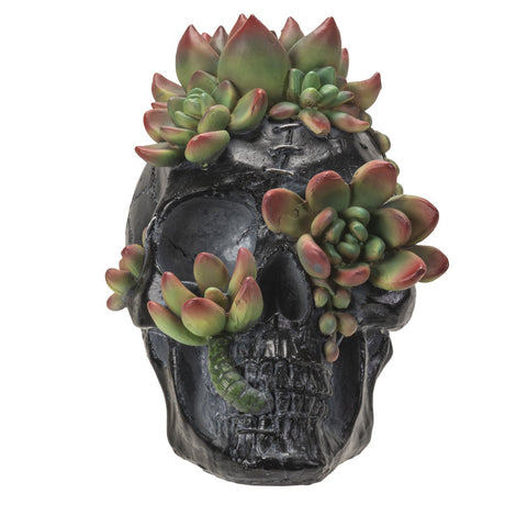 7.8" Black Skull with Succulents Statue - Magick Magick.com