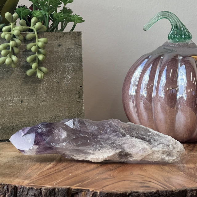 8-9" Amethyst Root Wand - Small (1 lb) - Magick Magick.com