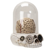 8" Skull with Brains Statue (LED Light Up) - Magick Magick.com