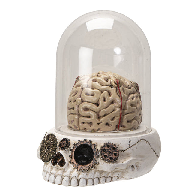 8" Skull with Brains Statue (LED Light Up) - Magick Magick.com