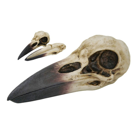 8.25" Raven Skull Stick Incense Burner - Magick Magick.com