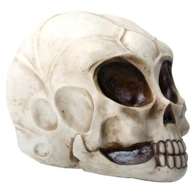 8.5" Alien Skull Statue - Magick Magick.com