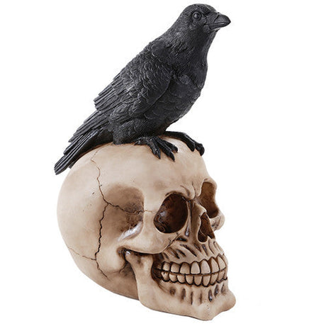 8.5" Raven on Skull Statue - Magick Magick.com