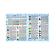8.5" x 11" English Information Chart - Tumbled Stones #3 - Magick Magick.com