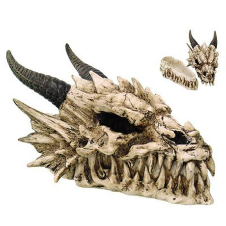 8.8" Dragon Skull Display Box - Magick Magick.com