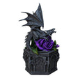 9" Dragon Statue - Dragon Beauty Box - Magick Magick.com