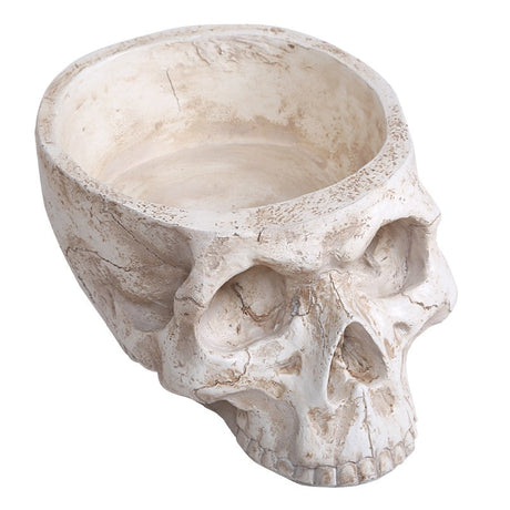 9" Skull Planter or Bowl - Magick Magick.com