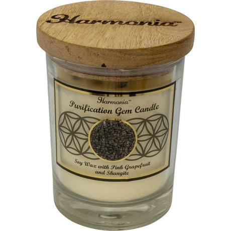 9 oz Harmonia Soy Gem Candle - Purification - Shungite - Magick Magick.com