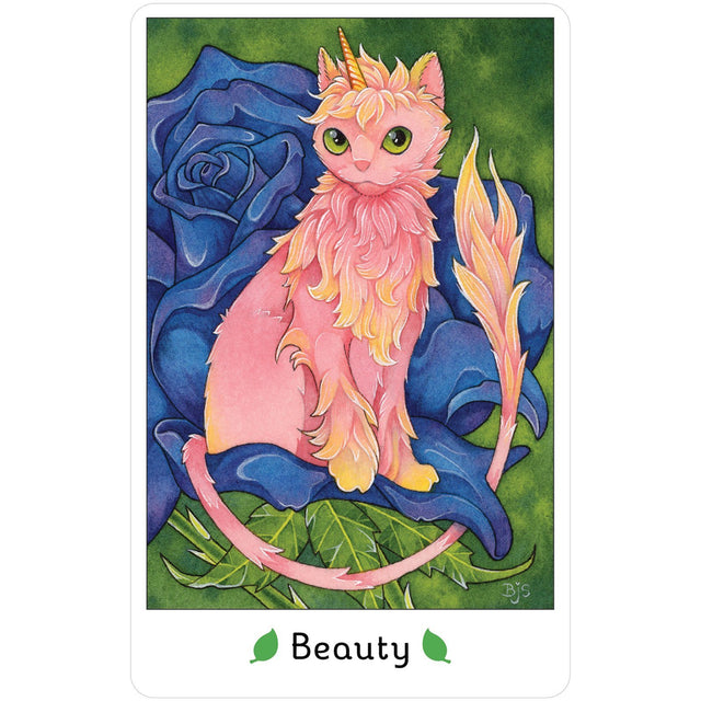 Affirmations of the Fairy Cats Deck and Book Set by Brenda June Saydak - Magick Magick.com