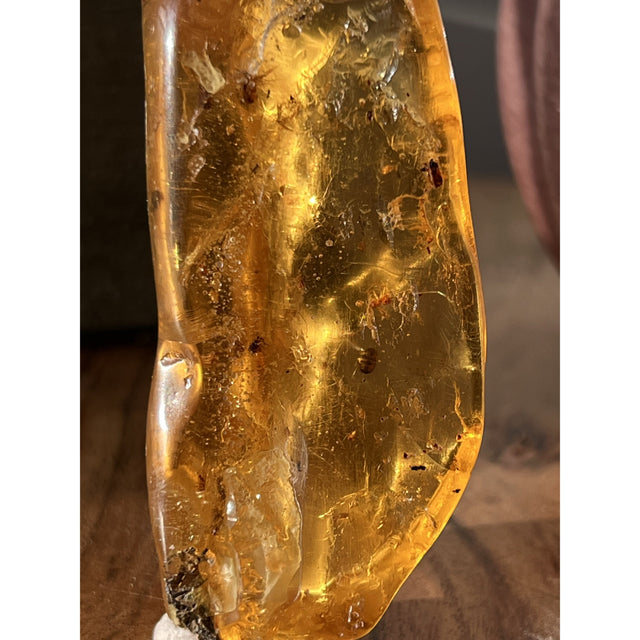 Amber with Spider from Madagascar - Magick Magick.com