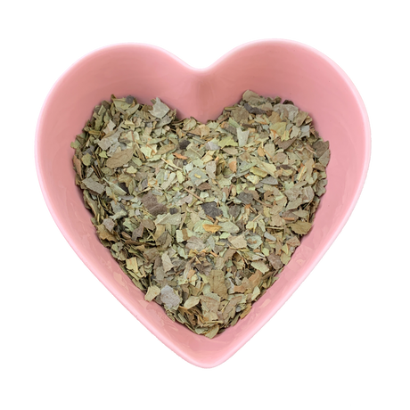 Boldo Leaf 1 oz (Peumus Boldo) - Magick Magick.com