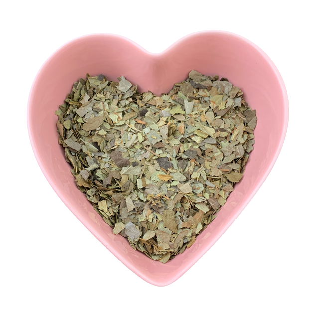 Boldo Leaf 1 oz (Peumus Boldo) - Magick Magick.com