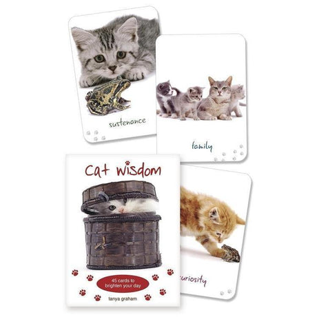 Cat Wisdom Cards by Tanya Graham - Magick Magick.com