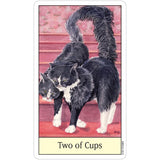 Cat's Eye Tarot Deck by Debra M. Givin - Magick Magick.com