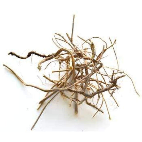 Devil's Shoestring Root 2 oz (Tephrosia Virginiana) - Magick Magick.com