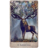 Divine Nature Oracle Deck & Book Set by Angi Sullins, Greg Spalenka - Magick Magick.com