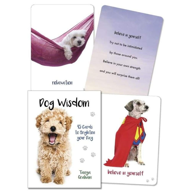 Dog Wisdom Cards by Tanya Graham - Magick Magick.com