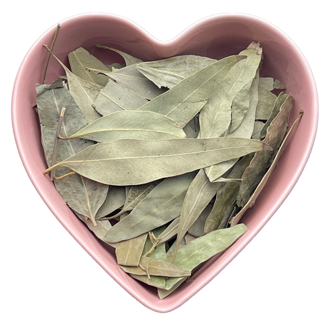 Eucalyptus Leaf Whole 1 lb (Eucalyptus Globulus) - Magick Magick.com