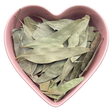 Eucalyptus Leaf Whole 1 lb (Eucalyptus Globulus) - Magick Magick.com