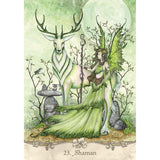 Fairy Wisdom Oracle Deck and Book Set by Amy & Nancy Brown - Magick Magick.com