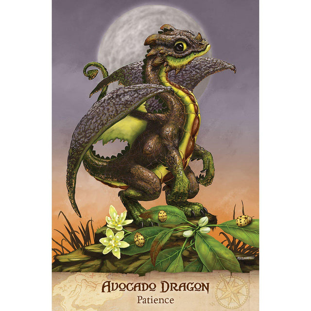 Field Guide to Garden Dragons Deck by Arwen Lynch, Stanley Morrison - Magick Magick.com