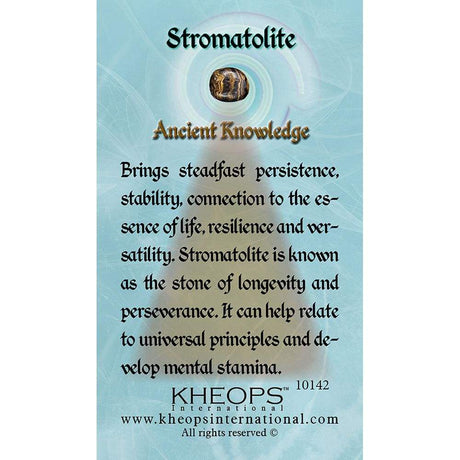 Gemstone Properties Info Card - Stromatolite - Magick Magick.com