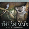 Healing with the Animals CD by Scott Alexander King - Magick Magick.com