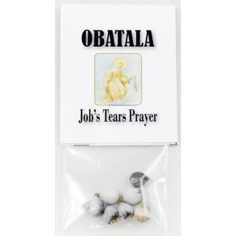 Job's Tears (Seeds) - Magick Magick.com