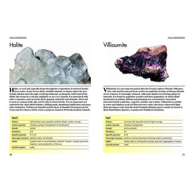 Minerals and Gemstones by David C. Cook, Wendy L. Kirk - Magick Magick.com