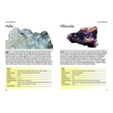 Minerals and Gemstones by David C. Cook, Wendy L. Kirk - Magick Magick.com