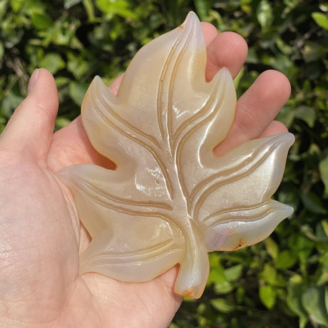 Natural Agate Geode Hand Carved Leaf - .28 lbs (4.75 x x 4 x .25 inches) - Magick Magick.com