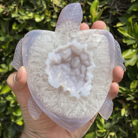 Natural Agate Geode Hand Carved Turtle - .74 lbs (5.5 x 5 x .5 inches) - Magick Magick.com