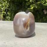 Natural Agate Hand Carved Geode Skull - 1.48 lbs (4.5 x 3 x 3 inches) - Magick Magick.com