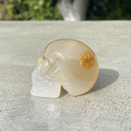 Natural Agate Hand Carved Small Skull C - .20 lbs (2 x 1.25 x 1.5 inches) - Magick Magick.com