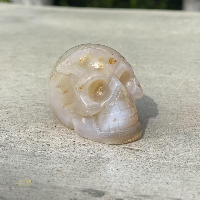 Natural Agate Hand Carved Small Skull G - .18 lbs (2 x 1.25 x 1.5 inches) - Magick Magick.com