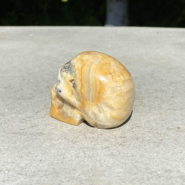 Natural Agate Hand Carved Small Skull (Various Colors) - .20 lbs (2 x 1.25 x 1.5 inches) - Magick Magick.com