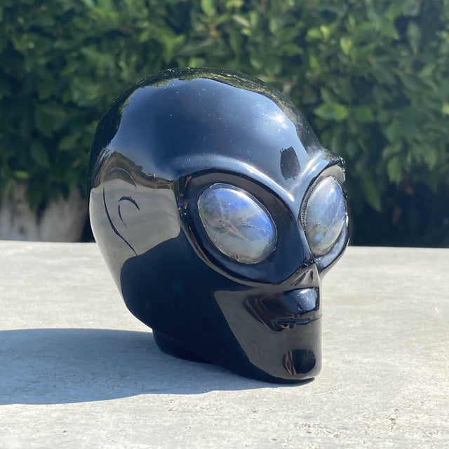 Natural Black Obsidian Hand Carved Alien Head with Labradorite Eyes - 2.10 lbs (4.5 x 3 x 4 inches) - Magick Magick.com