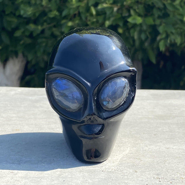 Natural Black Obsidian Hand Carved Alien Head with Labradorite Eyes - 2.10 lbs (4.5 x 3 x 4 inches) - Magick Magick.com